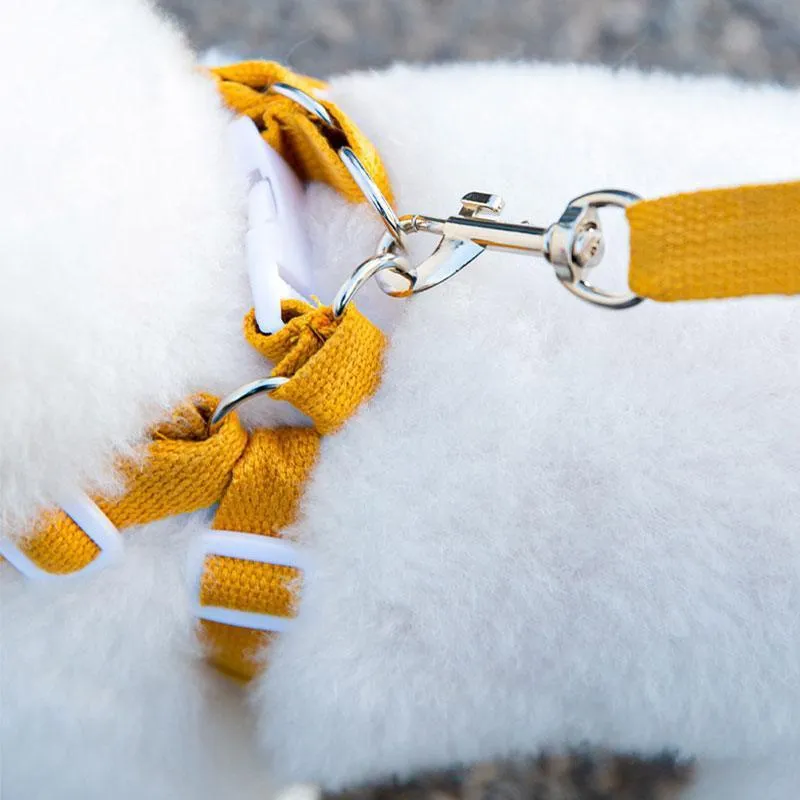 Bear Cat Leash 3 Color Pet Harness