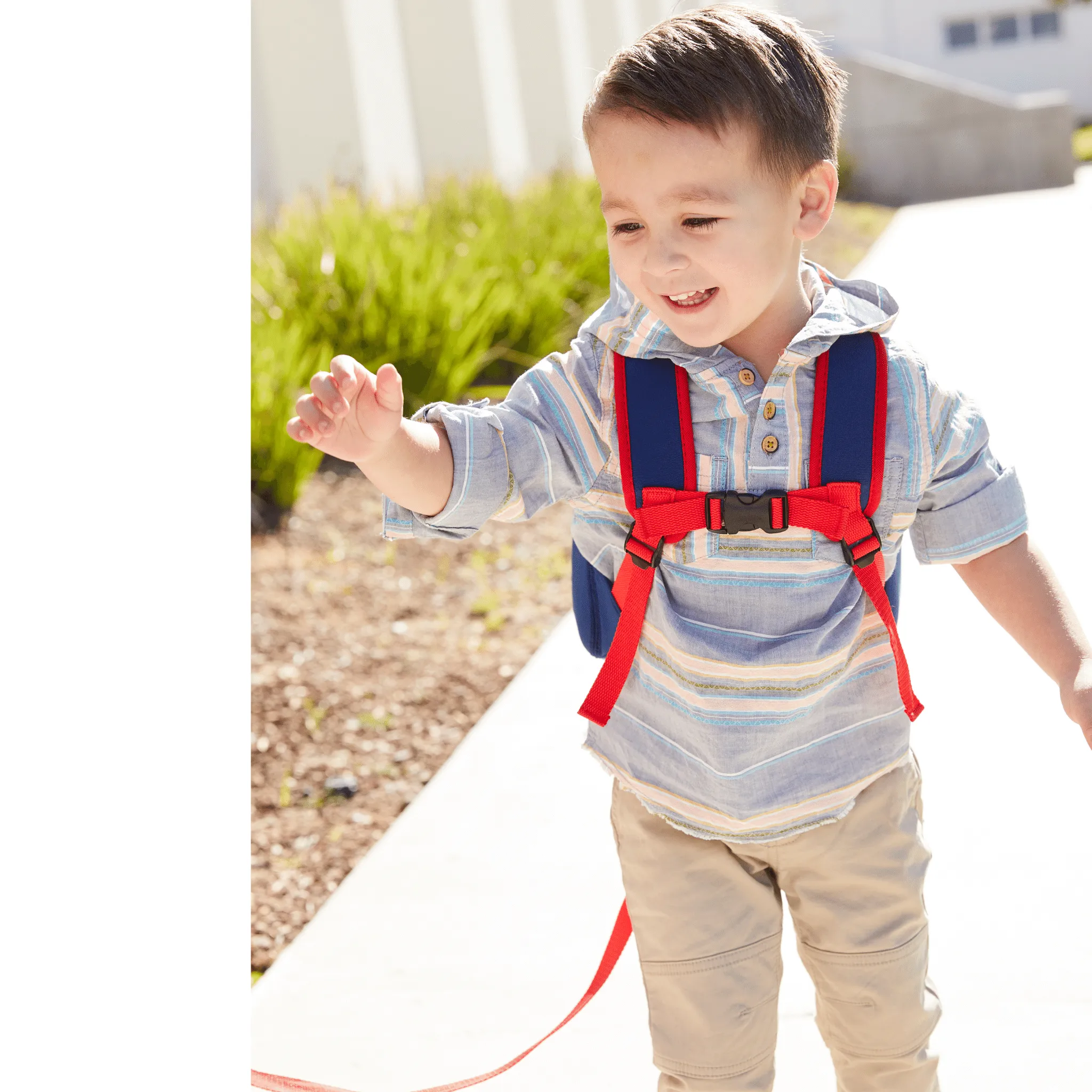 Dabbawalla Toddler Harness Backpacks