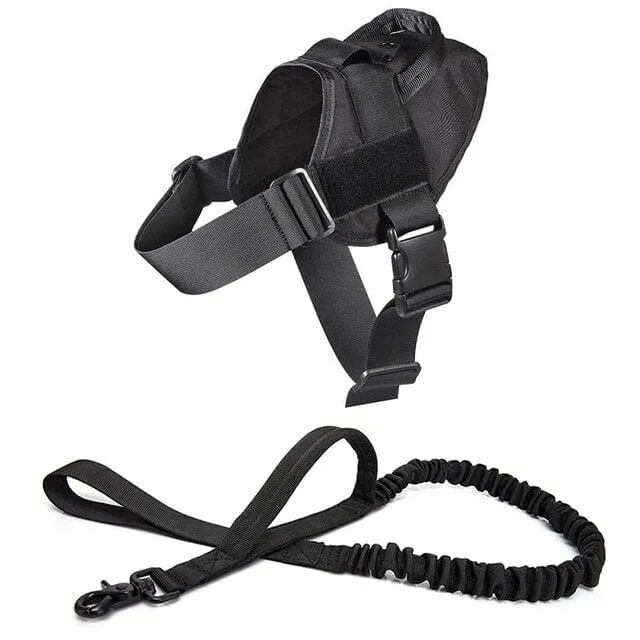 Dog Harness Vest With Handle & Lead