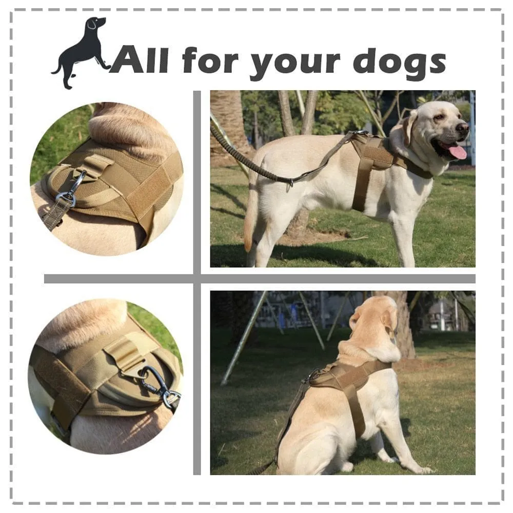 Dog Harness Vest With Handle & Lead