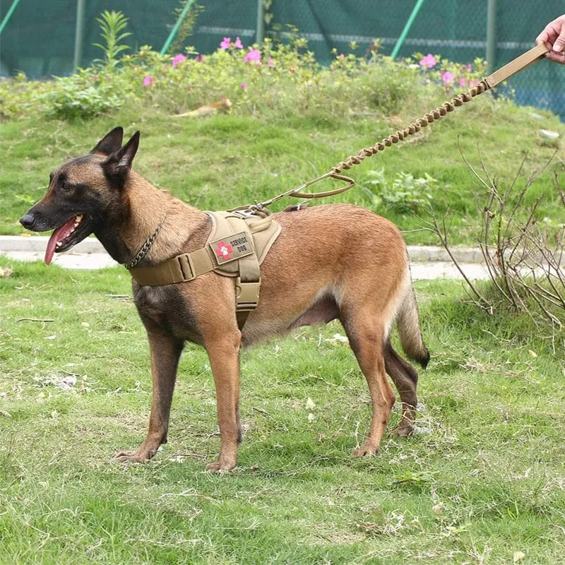 Dog Harness Vest With Handle & Lead