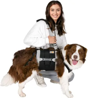 Dog Lift Harness for Large Dogs,Full Body Dog Sling Carrier with Handle,for Up Stairs/Back Legs Support/Dogs Joint Injuries/Arthritis/Nail Clipping