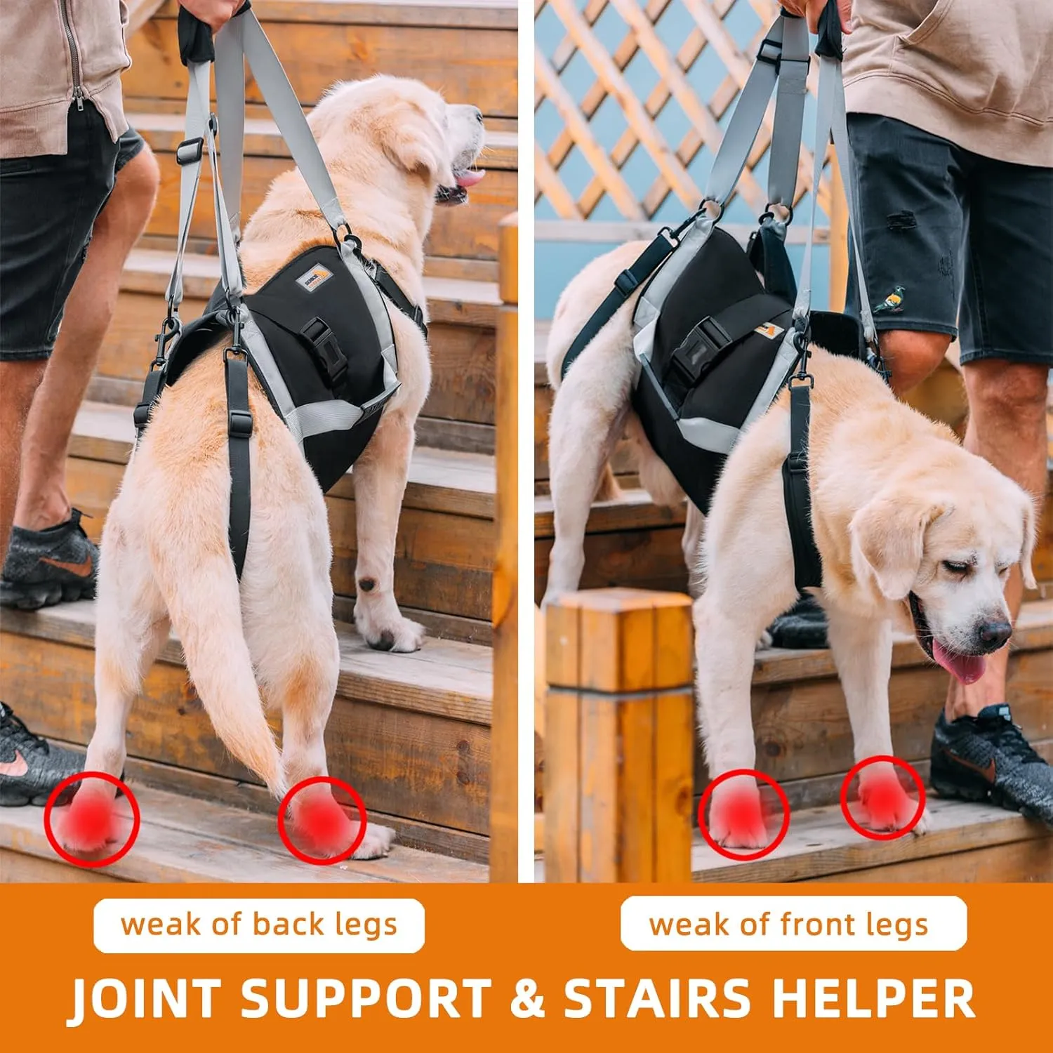 Dog Lift Harness for Large Dogs,Full Body Dog Sling Carrier with Handle,for Up Stairs/Back Legs Support/Dogs Joint Injuries/Arthritis/Nail Clipping