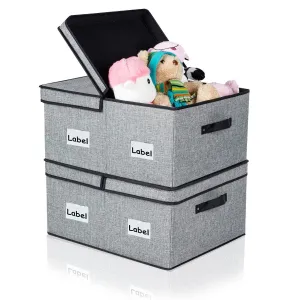 DOUBLE R BAGS Decorative Fabric Storage Boxes with Lid (Grey, Pack Of 2 Large)