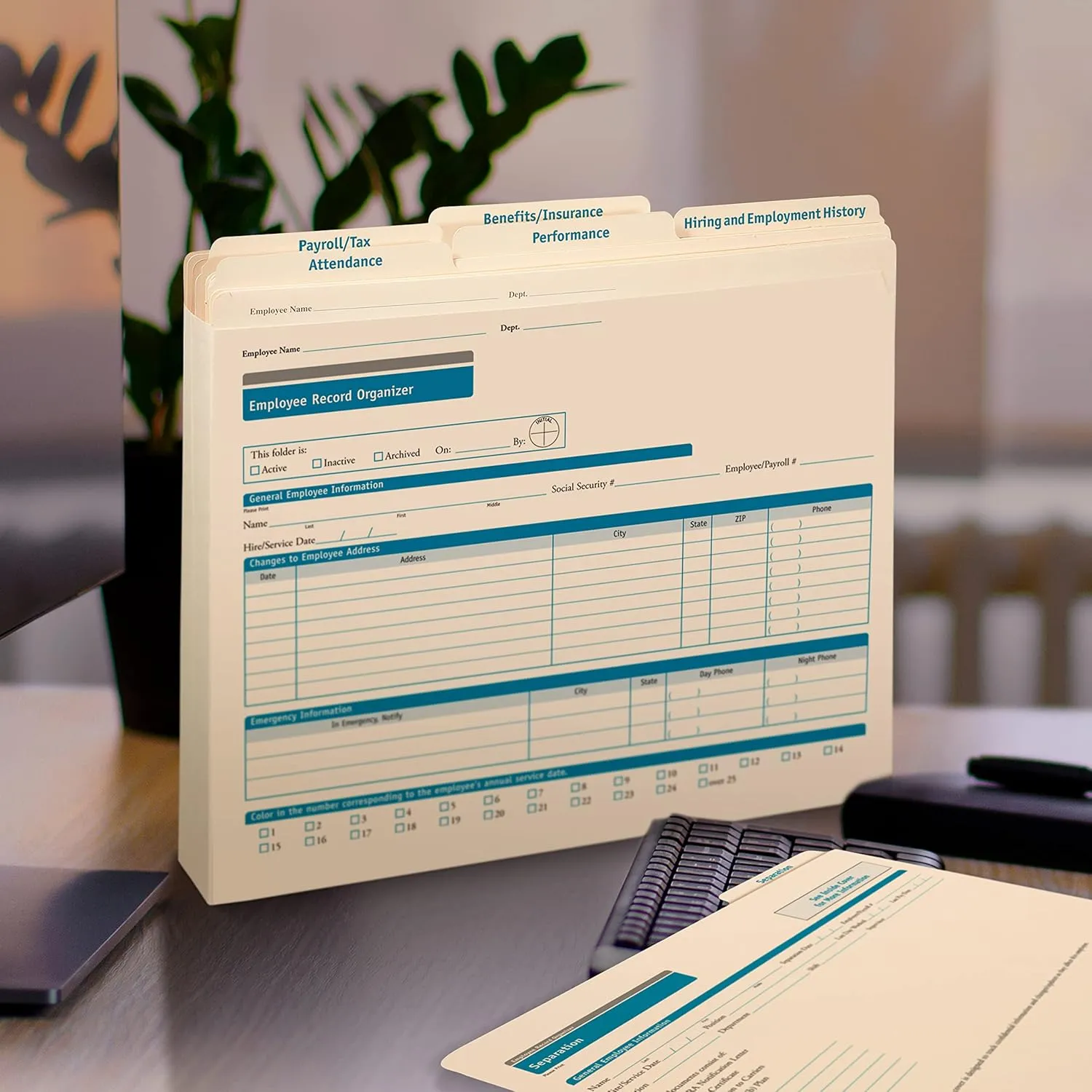 Expanded Employee Record Organizer and 6 Folders | 11.9” x 9.5” x 1.25” | HR and Employee Management | 25-Pack