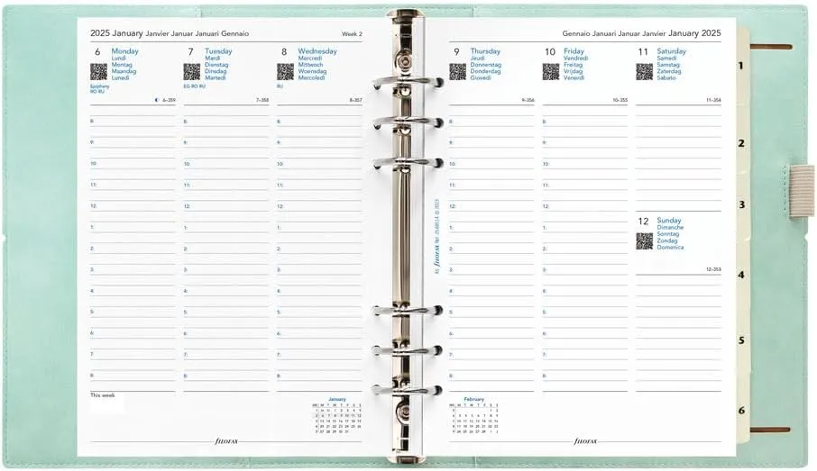 Filofax Domino Soft Organizer, A5 Size, Duck Egg - Smooth, Leather-Look, Grain Effect, Tactile, Six Rings, Week-to-View Calendar Diary, Multilingual, 2025 (C022601-25)