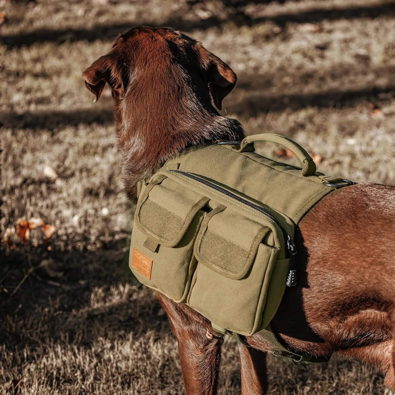 OneTigris Dog Hiking Backpack, Dog Pack for Medium Large Dogs, HOPPY CAMPER 3.0 Dog Saddle Bag Harness Outdoor Hiking (M, Brown)