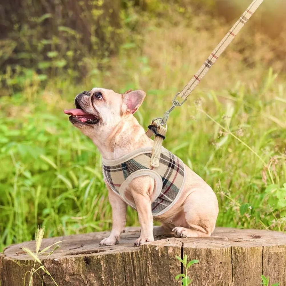 PUPTECK Soft Mesh Dog Harness and Leash Set Step-in Plaid Puppy Padded No Pull Vest Harness for XS Small Medium Sized Dogs Cats Outdoor Walking, Beige L