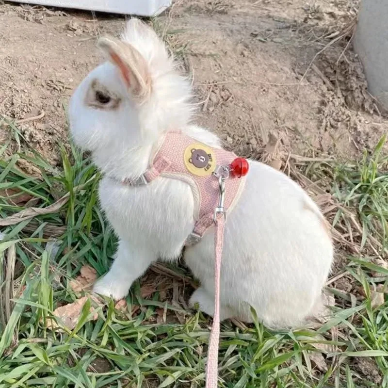 Rabbit Harness and Lead Set - Perfect for Outdoor Adventures