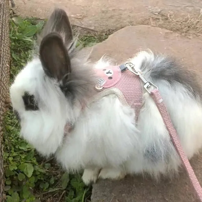 Rabbit Harness and Lead Set - Perfect for Outdoor Adventures
