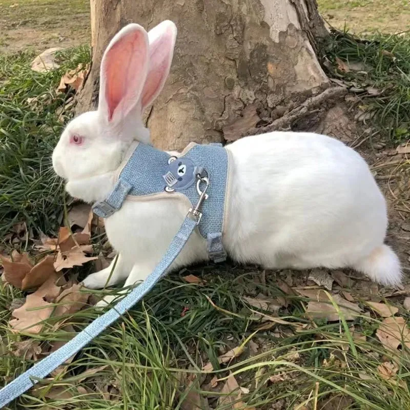 Rabbit Harness and Lead Set - Perfect for Outdoor Adventures