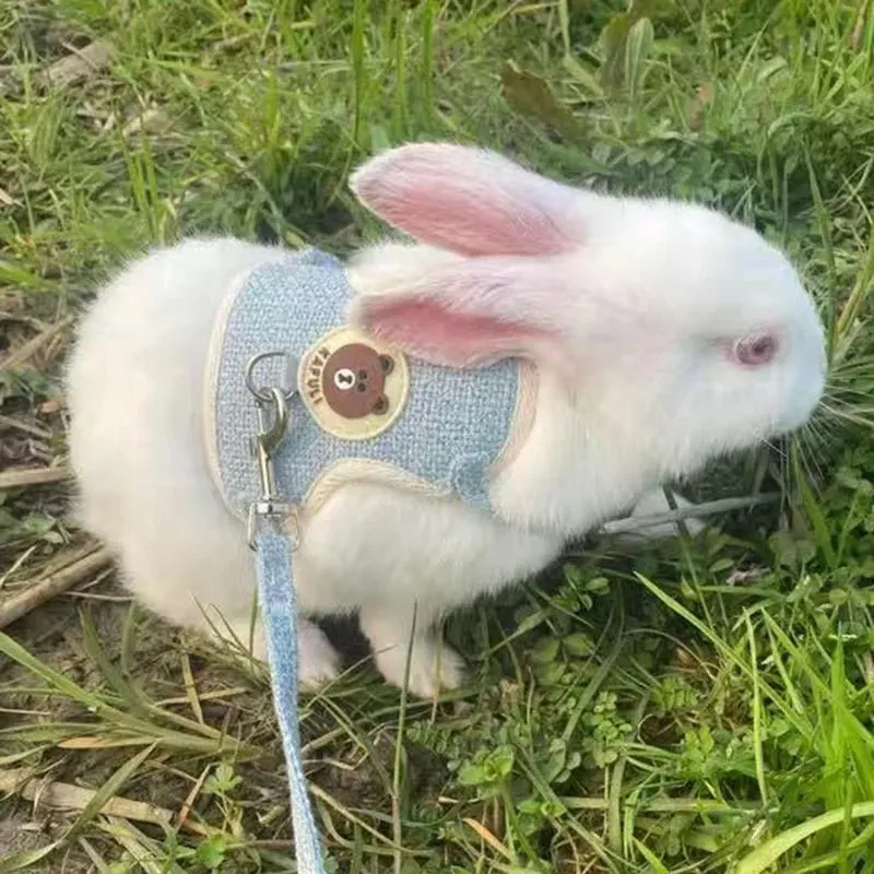Rabbit Harness and Lead Set - Perfect for Outdoor Adventures