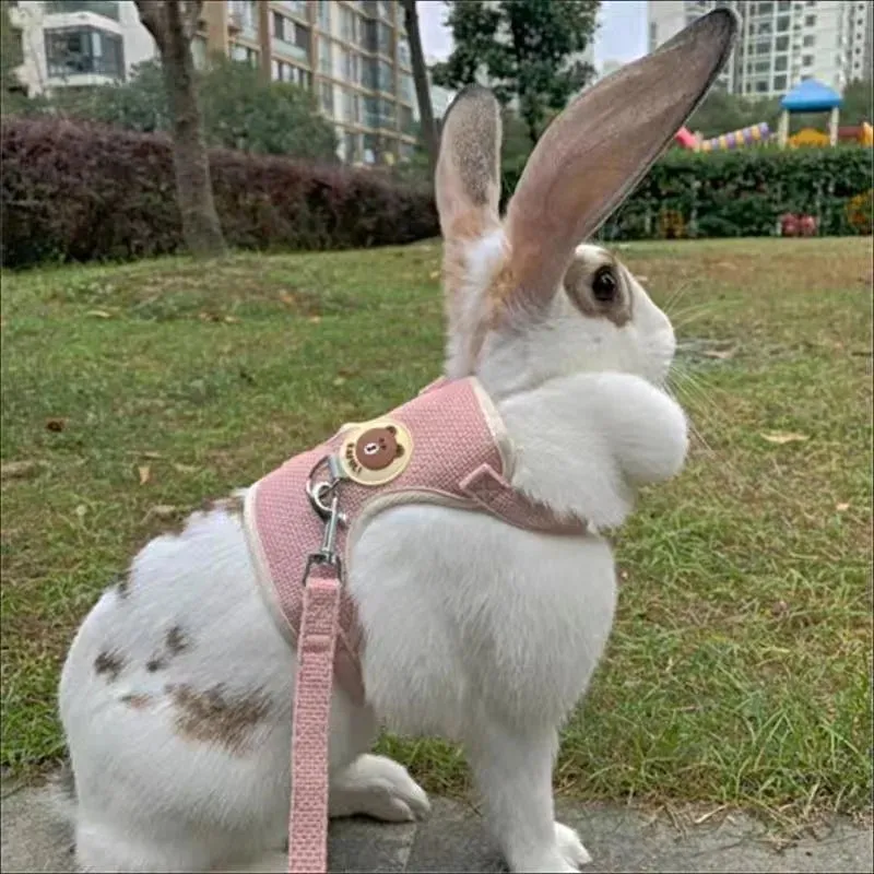 Rabbit Harness and Lead Set - Perfect for Outdoor Adventures