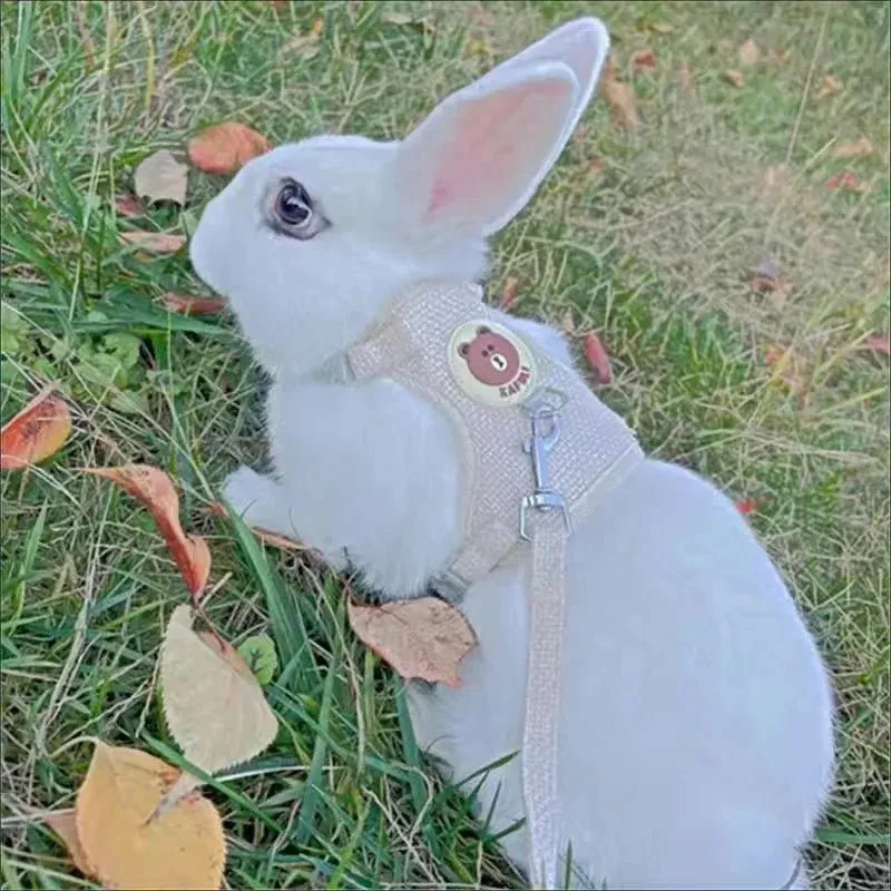 Rabbit Harness and Lead Set - Perfect for Outdoor Adventures