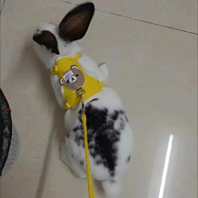 Rabbit Harness and Lead Set - Perfect for Outdoor Adventures