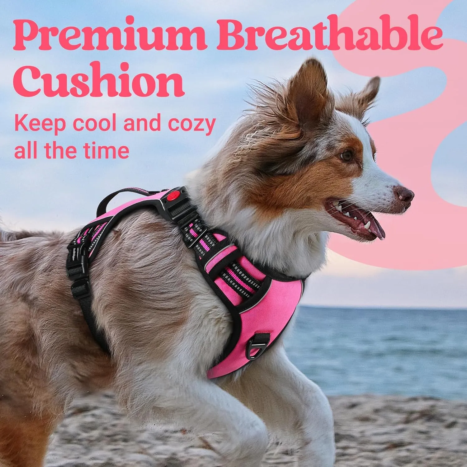 rabbitgoo Dog Harness for Large Dogs, No Pull Pet Harness with Soft Padded Handle, Adjustable Reflective Vest with 3 Buckles, Easy Walking Harness with 2 Leash Clips, Pink, L