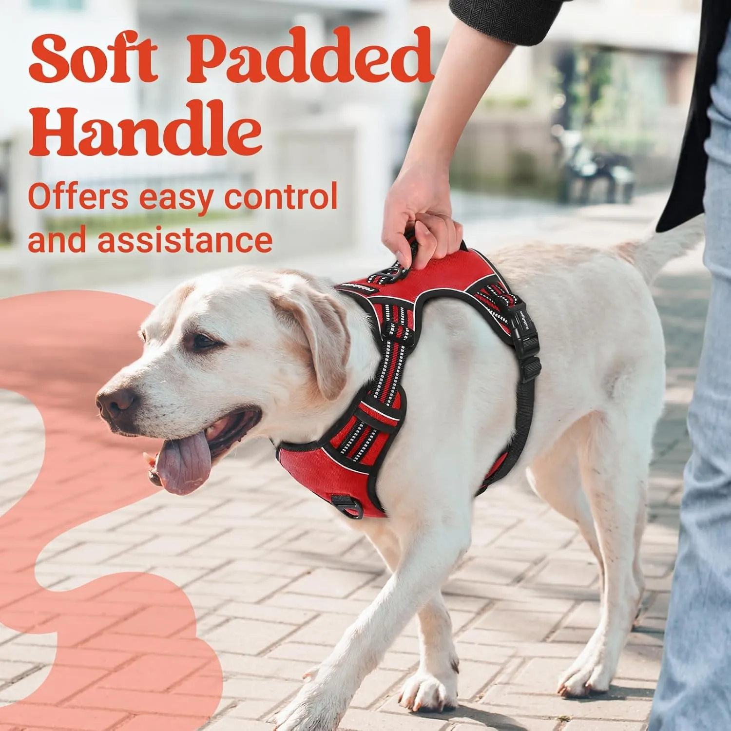 rabbitgoo Dog Harness for Large Dogs, No Pull Pet Harness with Soft Padded Handle, Adjustable Reflective Vest with 3 Buckles, Easy Walking Harness with 2 Leash Clips, Red, L