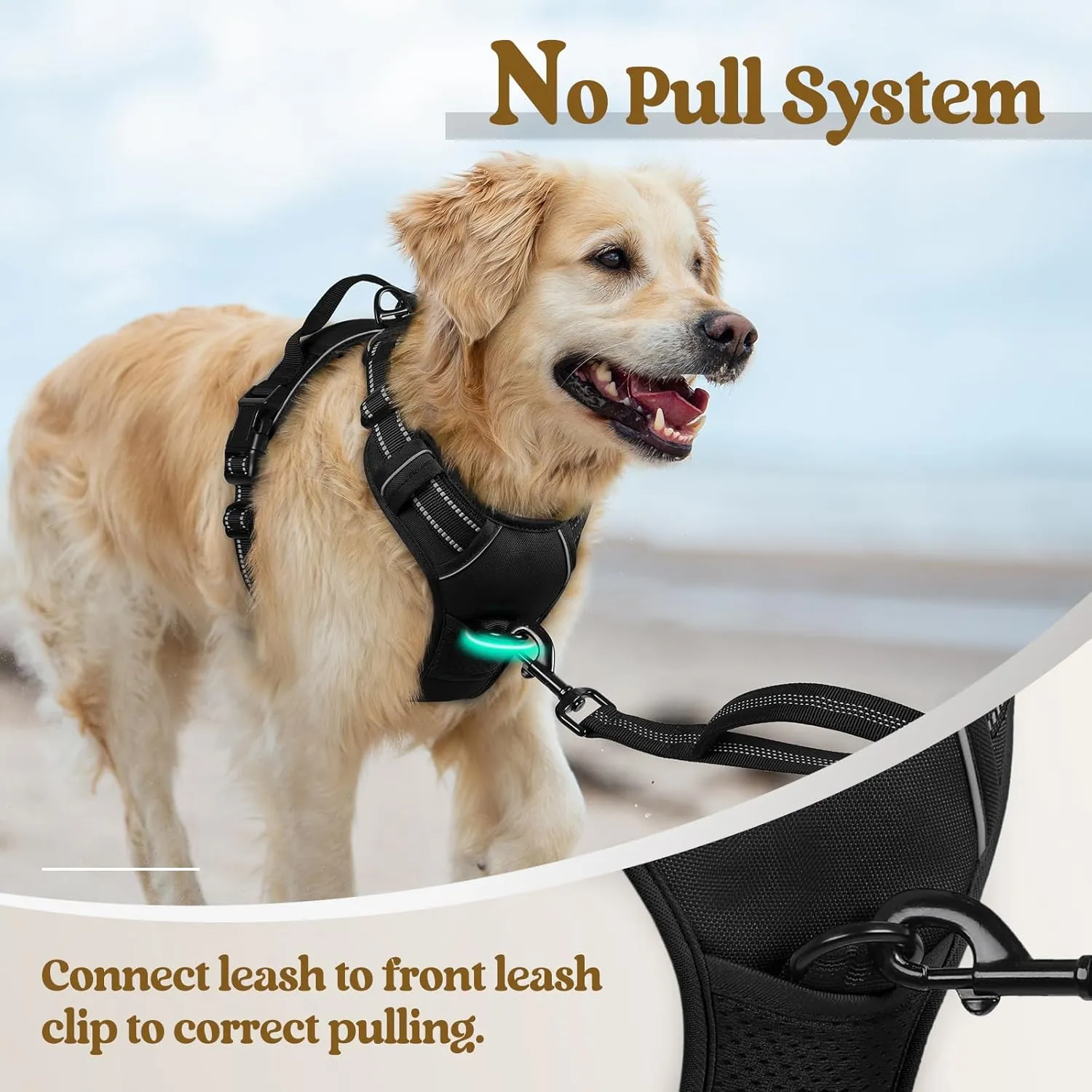 rabbitgoo Dog Harness No Pull with 2 Leash Clips, Adjustable Soft Padded, Reflective Oxford No Choke Pet Vest with Easy Control Handle for Large Dogs, Black, L