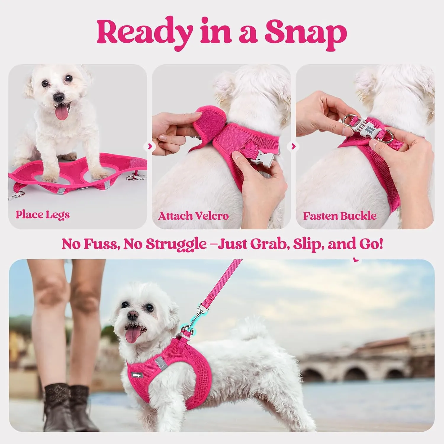 rabbitgoo Dog Harness Small Medium Sized and Leash Set, Step in Soft Light Puppy Vest, Breathable Mesh Pet Harness, Reflective for Safe Easy Walking, Rose Red L