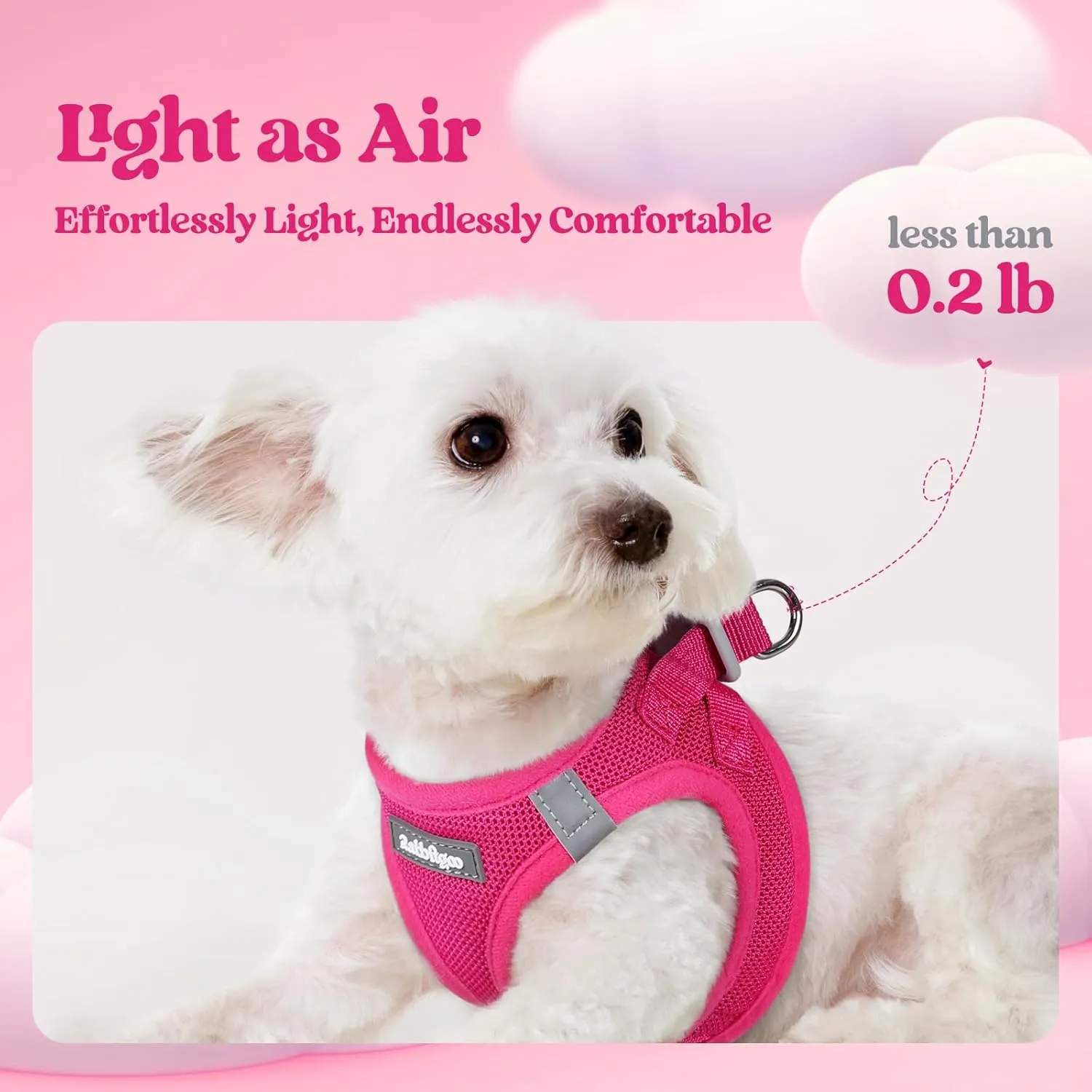 rabbitgoo Dog Harness Small Medium Sized and Leash Set, Step in Soft Light Puppy Vest, Breathable Mesh Pet Harness, Reflective for Safe Easy Walking, Rose Red L