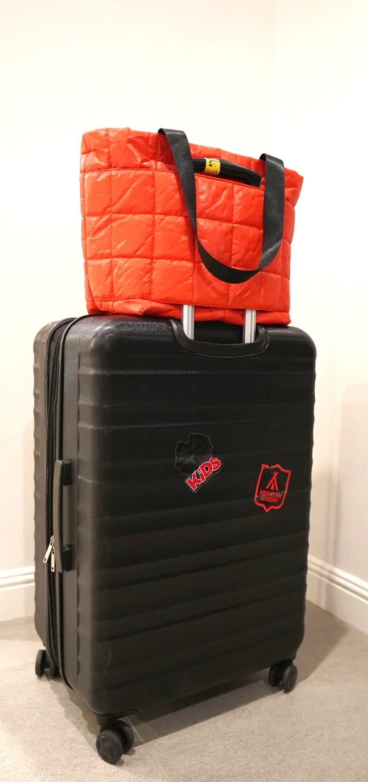 Transit Reversible Tote
